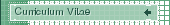 Curriculum Vitae